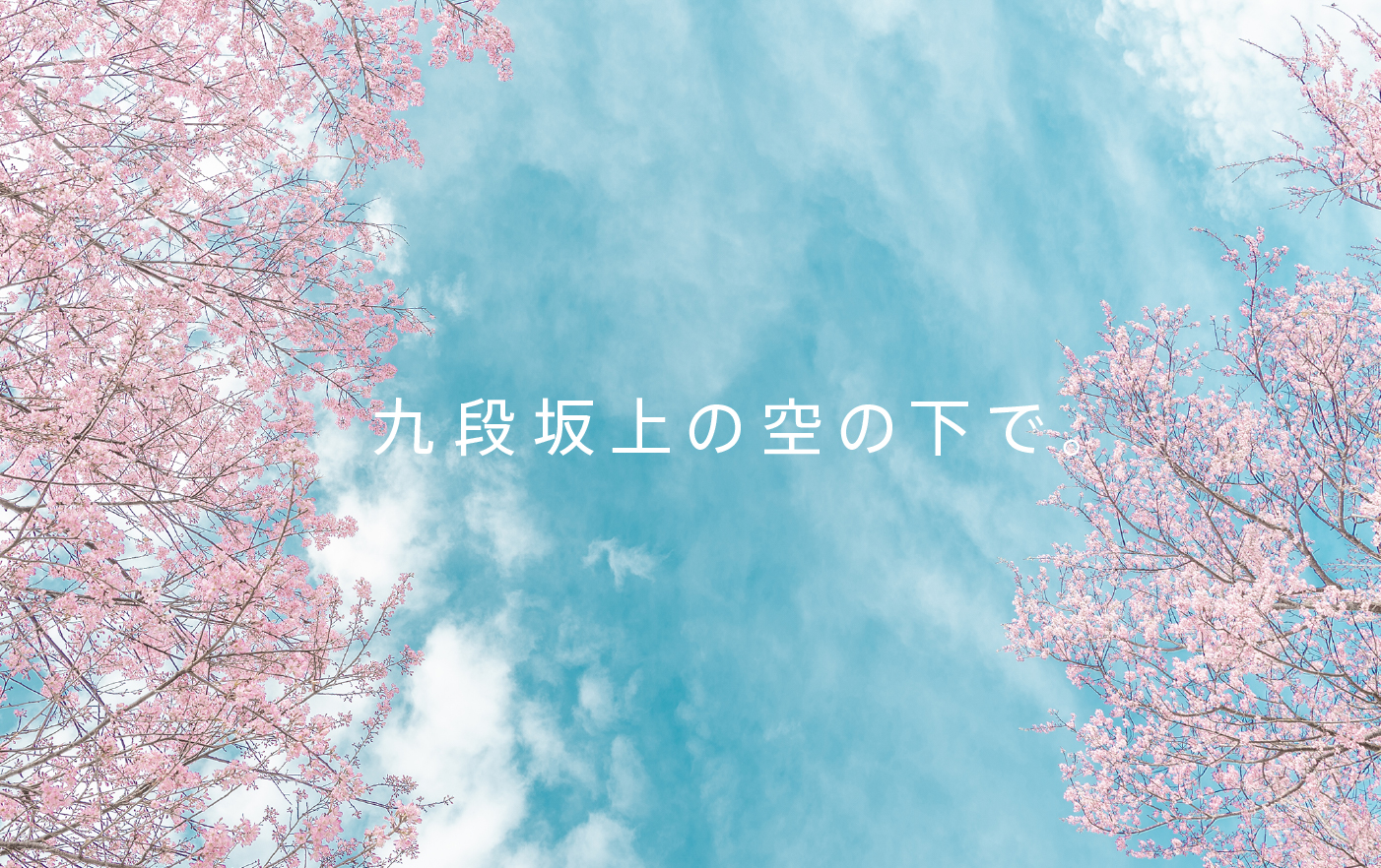 新しいオフィスに引っ越しました。